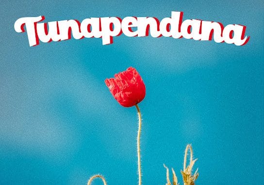 D Voice - Tunapendana