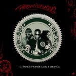 DJ Tunez - Promiscuous ft. Wande Coal & Libianca