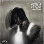 FOLA - who does that? ft. Bella Shmurda