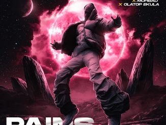 Haladin - Pains ft. MOHBAD & Olatop Ekula 4 Haladin - Pains ft. MOHBAD & Olatop Ekula