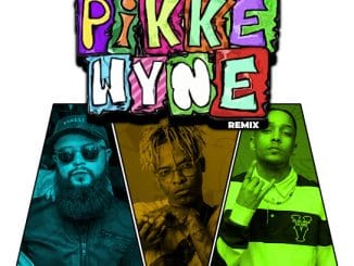 Mega - Pikkewyne [Remix] ft. Chakie, Meneer Cee, Jay Music & Naiidy