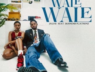 Zuchu - Wale Wale ft. Diamond Platnumz 12 Mr June6 - Zuchu Ft Diamond Platnumz - Wale Wale