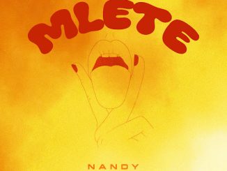 Nandy - Mlete