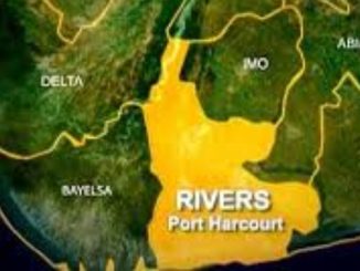 Ogoni Oil-Degraded Mangrove Restoration 75% Completed – HYPREP