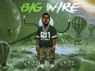 Otega - Big wire
