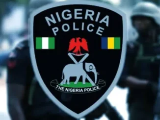 ‘I’ve Survived On Selling Human Parts For 10 Years’: Suspected Ritualist In Ogun 7 Police Confirm Arrest Of Efe Money, Otokutu Chief Priest Over Murder Of Friend (Pics)