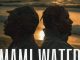 Robson Vibes - MAMI WATER ft. Chella