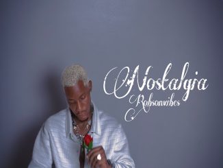 Robson Vibes - Nostalgia