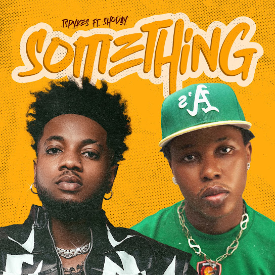 Tspykes - Something Something (Remix) ft. Shoday
