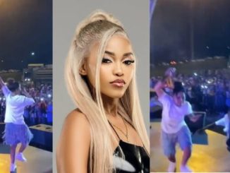 Zee Nxumalo exits the stage abruptly after an unexpected interaction with a fan (Video) 32 Zee Nxumalo exits the stage abruptly after an unexpected interaction with a fan (Video)