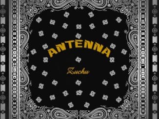 Zuchu - Antenna