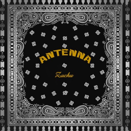 Zuchu - Antenna