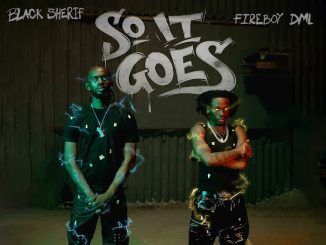 Black Sherif - So it Goes ft. Fireboy DML 25 NaijaChoice News 42