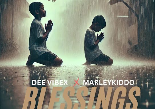 Dee vibex - Blessings ft. Marleykiddo 1 Dee vibex - Blessings ft. Marleykiddo