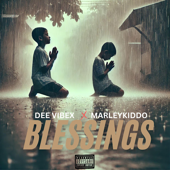 Dee vibex - Blessings ft. Marleykiddo