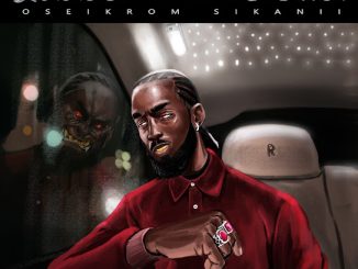 Oseikrom Sikanii - Fly Away ft. PsychoYP