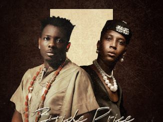 Terry Apala - Bride Price ft. Bella Shmurda 12 Terry Apala - Bride Price ft. Bella Shmurda