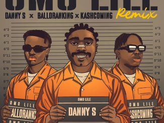 Danny S - Omo Lile (Remix) ft. Balloranking & Kashcoming