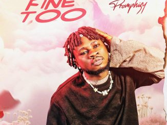Promphizy - Fine Too