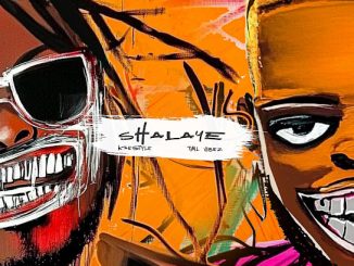 Kaestyle & Tml Vibez - Shalaye 29 NaijaChoice News 8