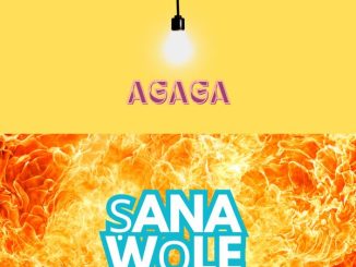 Agaga - Ṣanawọle
