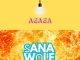 Agaga - Ṣanawọle