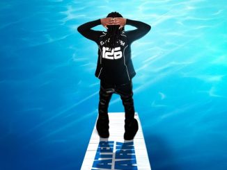 Ashidapo - Water Park
