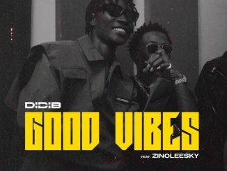 Didi B - Good Vibes ft. Zinoleesky