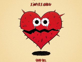 DJ Vyrusky - Good Girl (Evandy Girl) 21 DJ Vyrusky - Good Girl (Evandy Girl)