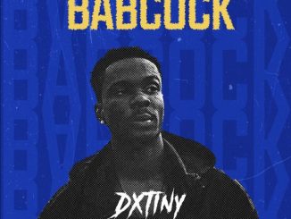 Dxtiny - Babcock