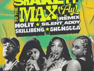 MOLIY - Shake It To The Max (FLY) [Remix]