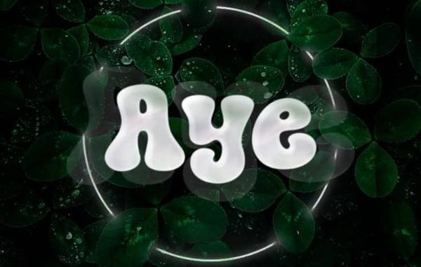 Professional Beat - Aye