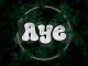 Professional Beat - Aye