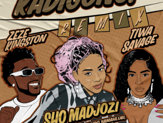 Sho Madjozi - Kadigong Remix ft. Tiwa Savage, Zeze Kingston, Gemini major, Ntando yamahlubi, Exclusive Drumz, Tee Jay 13 Sho Madjozi - Kadigong Remix ft. Tiwa Savage, Zeze Kingston featuring Gemini major, Ntando yamahlubi, Exclusive Drumz, Tee Jay & Gemini major