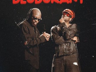 TOOFAN - Deodorant