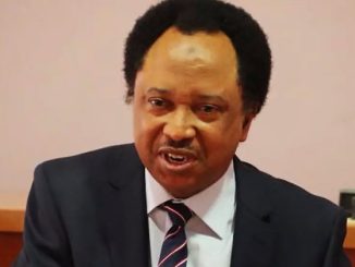 19180486 shehusani1 jpegc629ac59b1b81f5b967d3921356842dd
