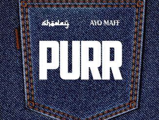 Shoday & Ayo Maff - PURR 12 NaijaChoice News 6