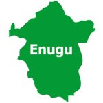 Enugu Woman Kills Sister, Attempts To Kill Mother, Niece With Cutlass (Photos)
