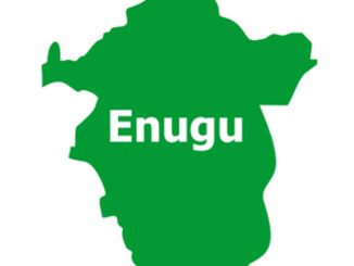 Enugu Woman Kills Sister, Attempts To Kill Mother, Niece With Cutlass (Photos)