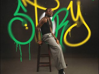 Fireboy DML & Take A Daytrip - Story