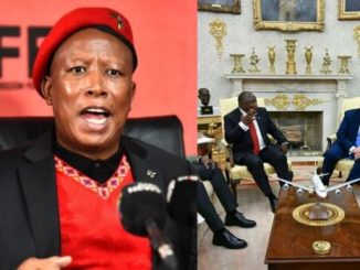 Julius Malema fires back after Donald Trump plays controversial clips during Oval Office meeting 22 Julius Malema fires back after Donald Trump plays controversial clips during Oval Office meeting
