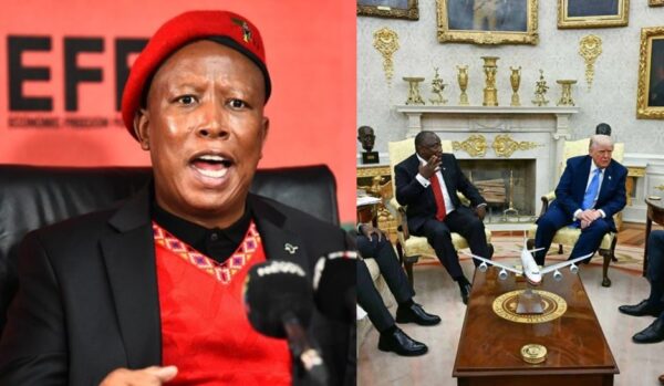 Julius Malema fires back after Donald Trump plays controversial clips during Oval Office meeting