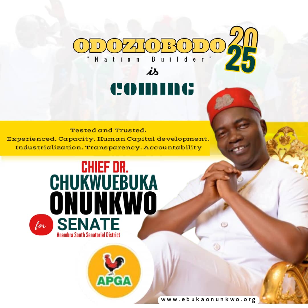 Anambra South: Profile Of APGA Candidate, Ebuka Onunkwo
