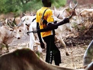 Mass Burial In Taraba As Herdsmen Slaughter Scores Of People 42 19326493 herders jpeg2430c9ede6f1cb61d6e327875b3306ce