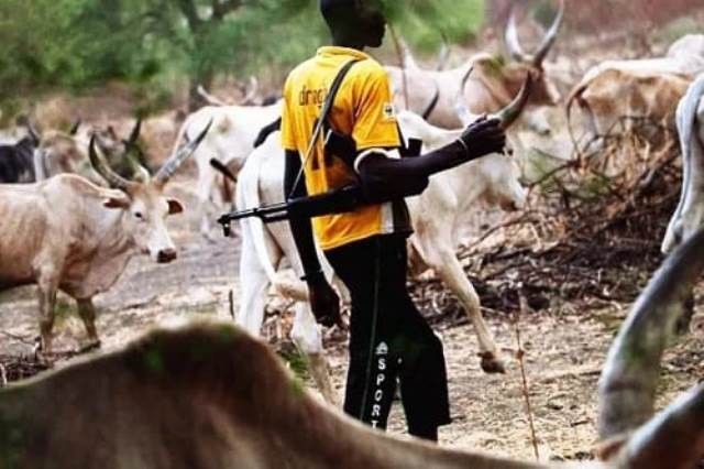 Mass Burial In Taraba As Herdsmen Slaughter Scores Of People