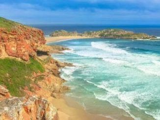 5 scenic hiking trails with ocean views in the Western Cape 2 5 scenic hiking trails with ocean views in the Western Cape