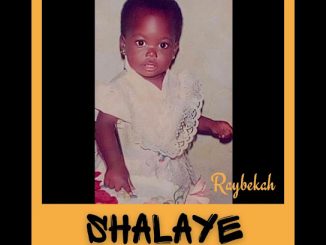 NaijaChoice News 13