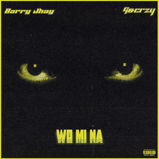 Anonymous music – Wo Mi Na ft Barry Jhay