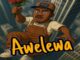 Ayozing - Awelewa