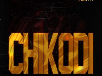 BoyPee - Chikodi ft. Duncan Mighty